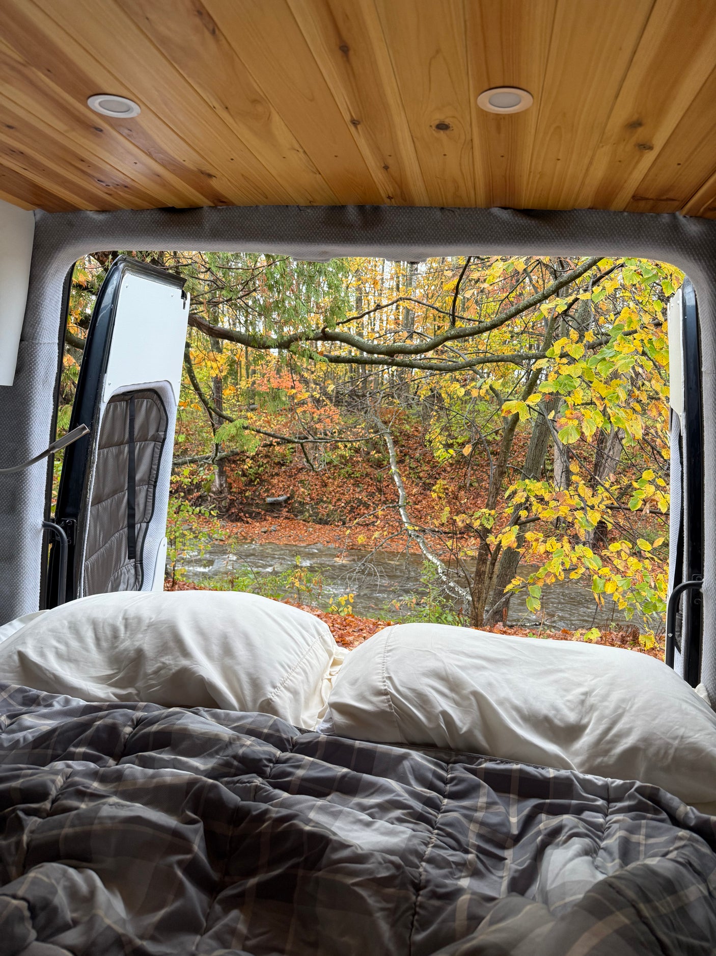 Cozy RV rental bed looking out open back doors to an autumn forest with vibrant leaves & a flowing river.