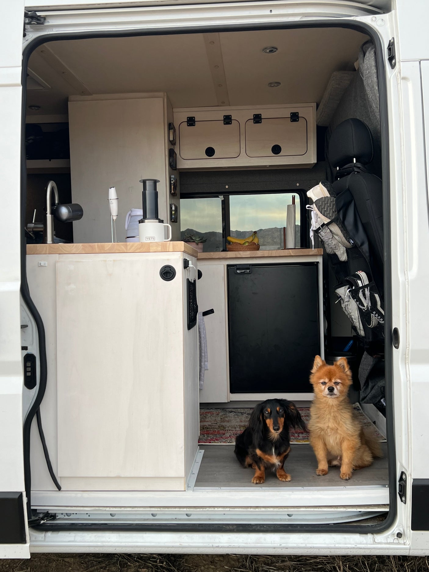 2019 Dodge Ram Promaster 2500- Time to Explore!