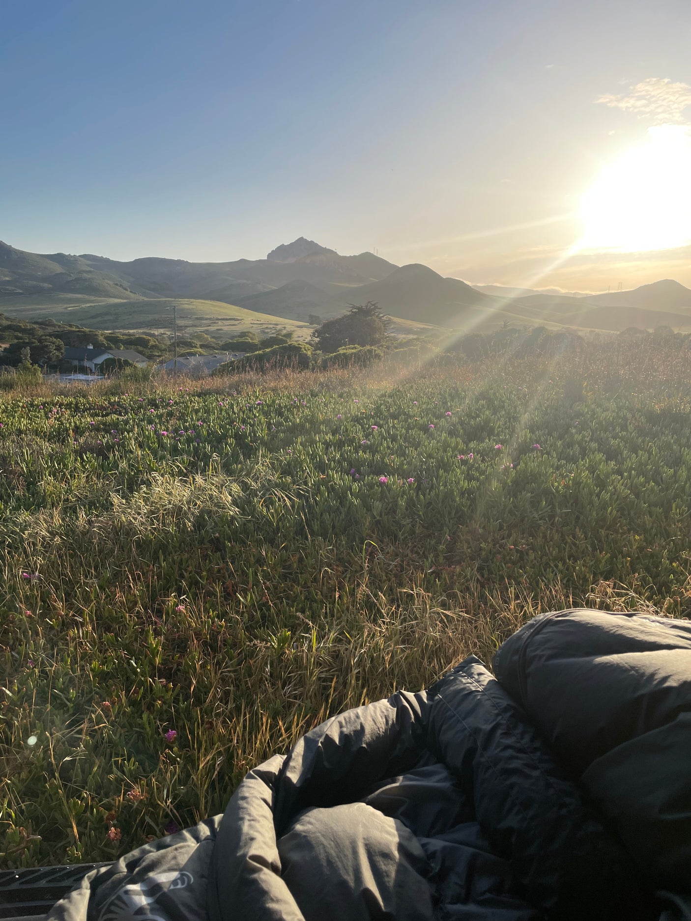 Cozy RV rental outdoor view: person nestled in foreground, lush hills, purple flowers, and bright sun rays over the landscape.