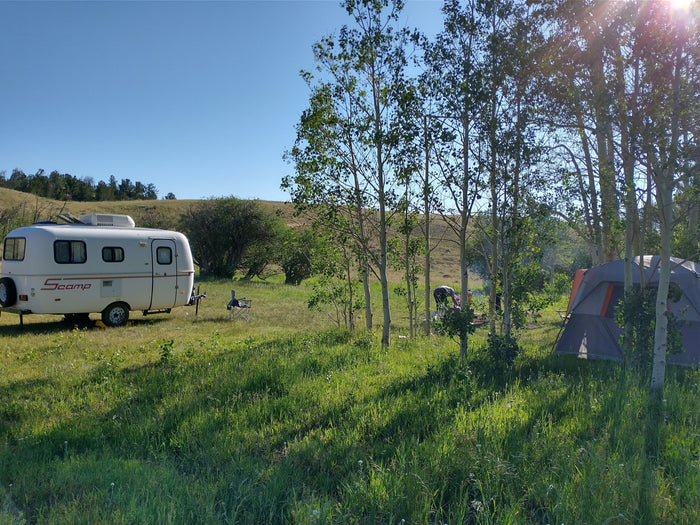 parked on grass. Side view highlights windows