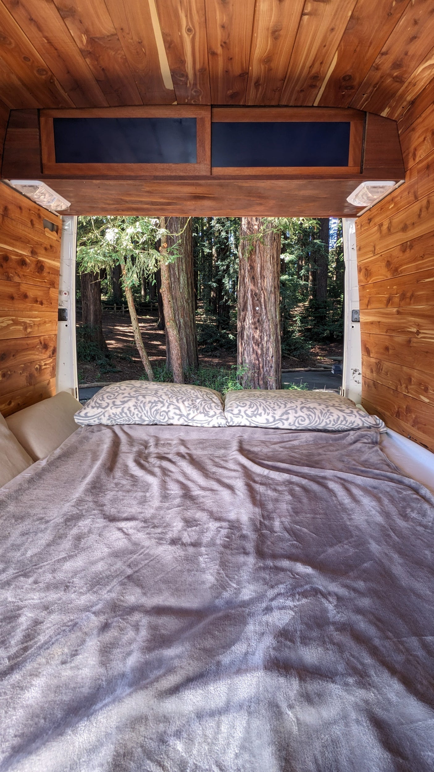 RV rental adventure: Cozy bed inside a wood-paneled van, looking out at a serene forest view with tall trees.