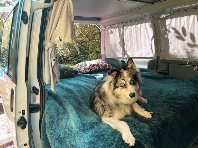 2003 Volkswagen Eurovan Westfalia Pop-Top - Comfy Hippie Camper Van! — photo 3
