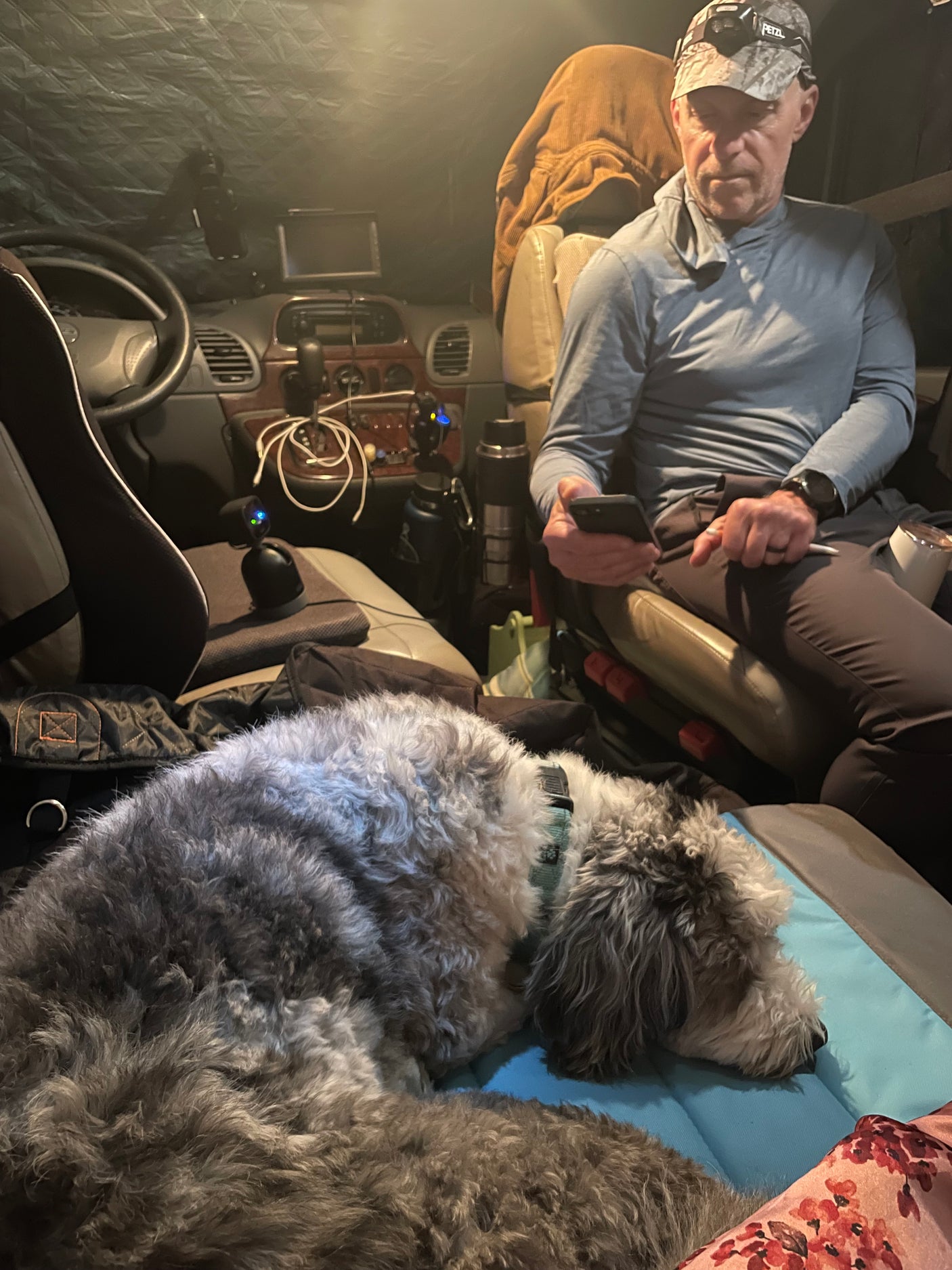 Man on phone, fluffy grey/white dog resting in cozy RV rental. Dashboard and accessories visible inside the camper.