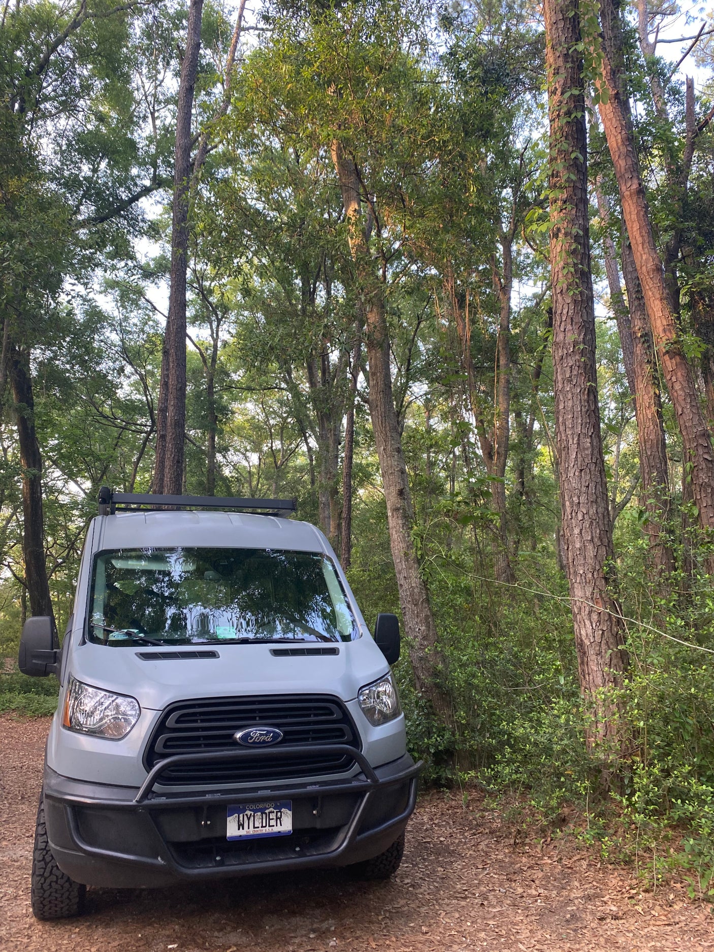 Adventure-ready grey Ford Transit van, ideal for RV rental, parked on a dirt path amidst tall trees and lush forest.