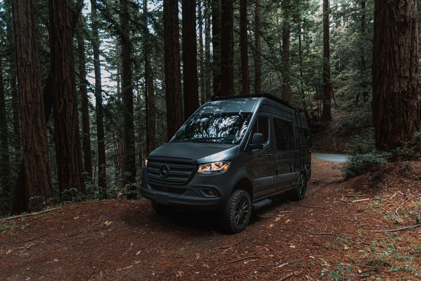 and a blurry view of misty evergreen trees outside.|Cozy RV rental interior: a raised bed with striped bedding