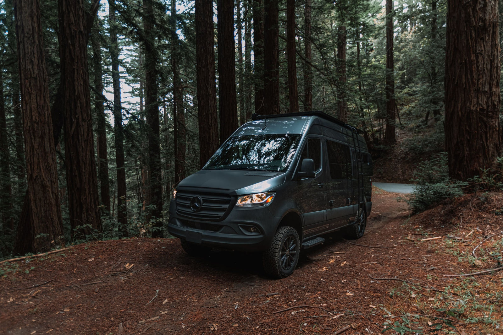 and a blurry view of misty evergreen trees outside.|Cozy RV rental interior: a raised bed with striped bedding