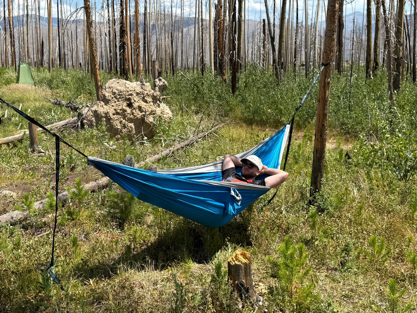 Relaxing in a hammock on an RV rental trip. Enjoy tranquil camping in a recovering forest with a tent nearby. — photo 13