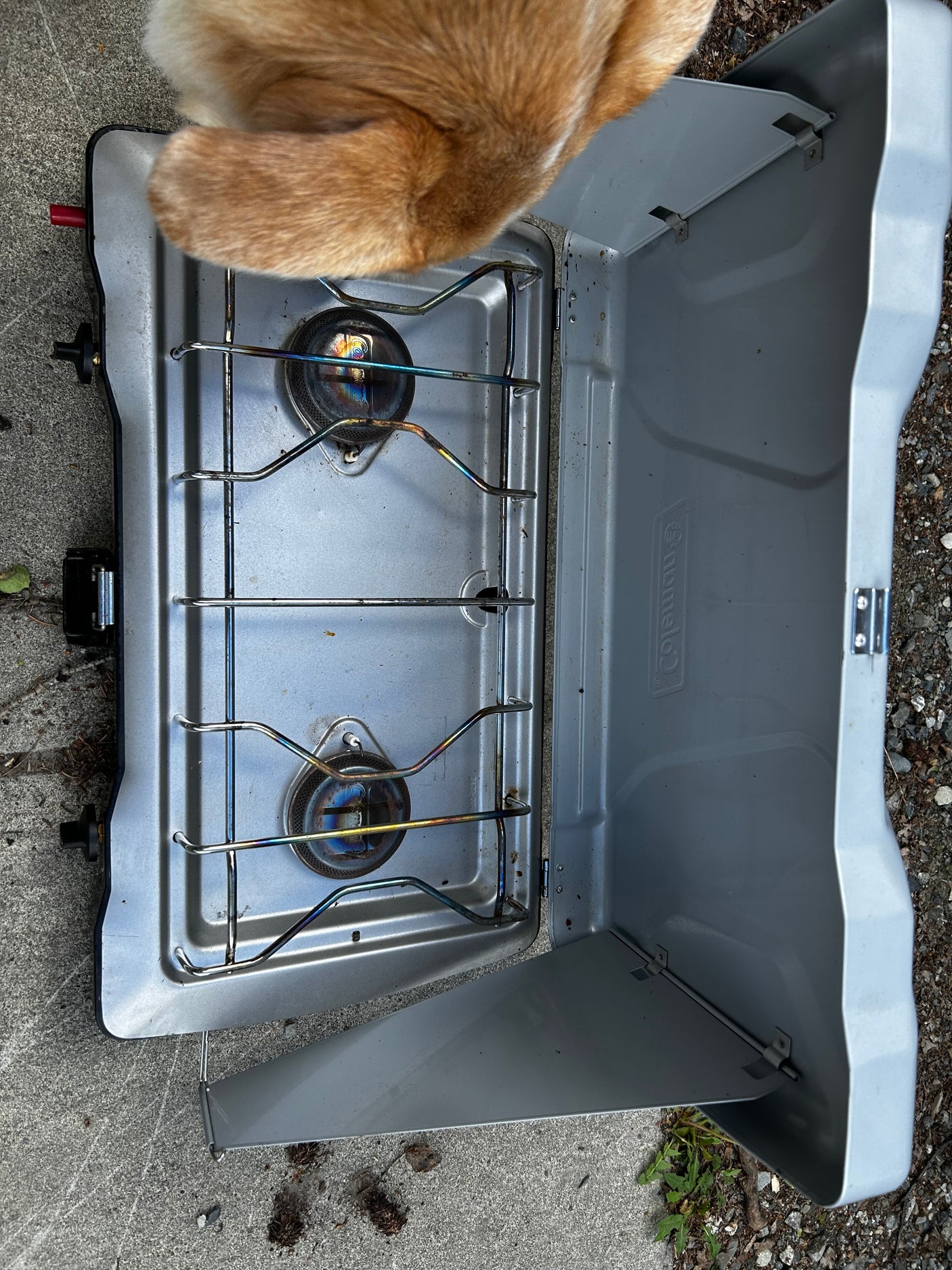 Prepping for your RV rental adventure? A pet watches over a two-burner Coleman portable camping stove.