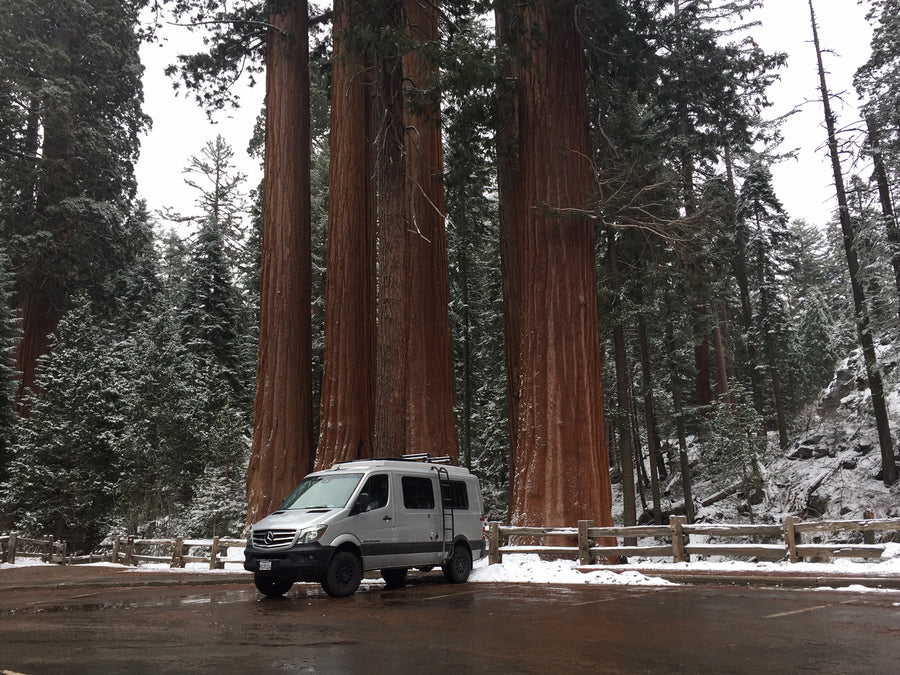 A silver RV rental van in a snowy parking lot, dwarfed by massive Giant Sequoia trees.
