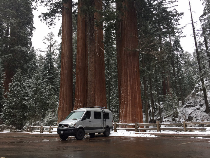 A silver RV rental van in a snowy parking lot, dwarfed by massive Giant Sequoia trees.