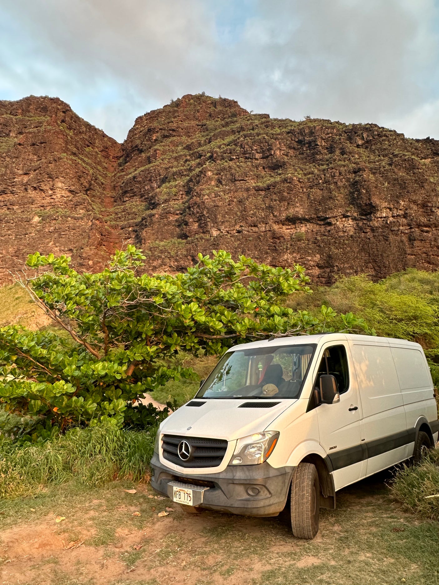 2015 Mercedes Benz Sprinter “Lotus” -No Prep Fee!