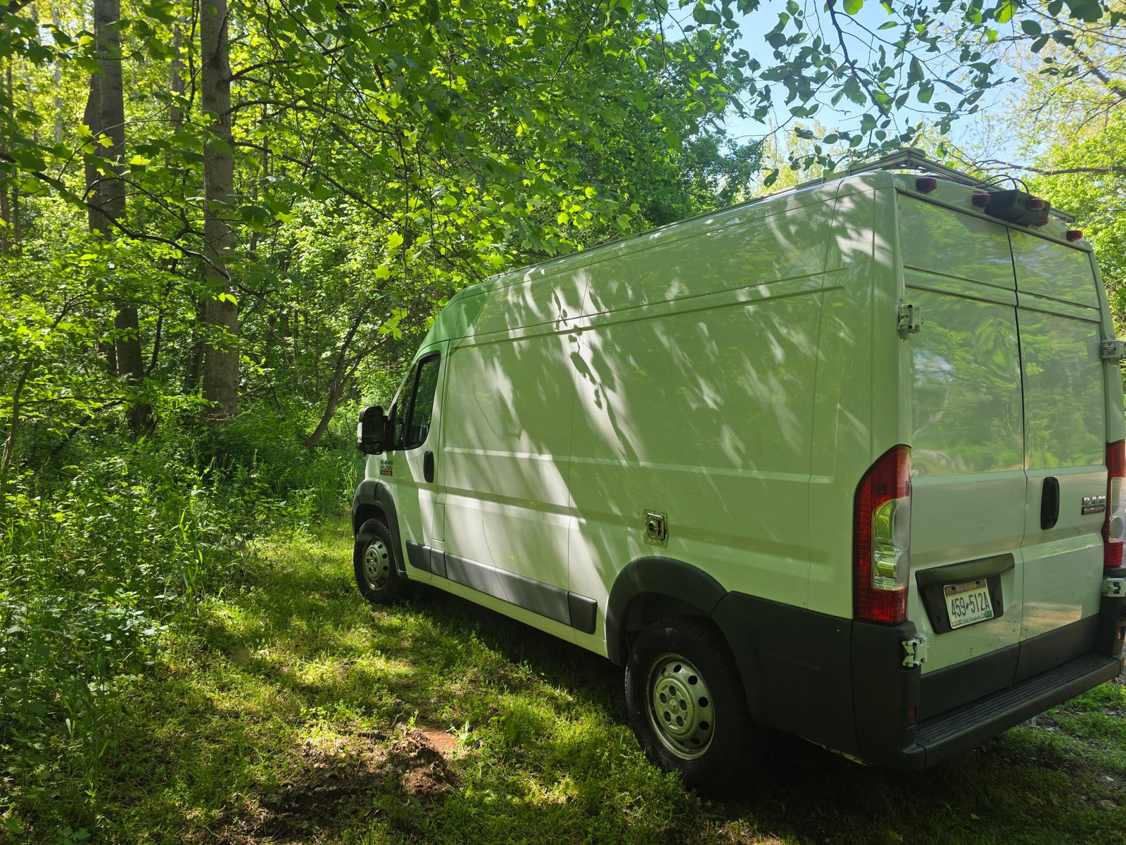 A white Ram ProMaster van (RV rental) parked in a sunny, green forest. Perfect for camping and exploring the outdoors.