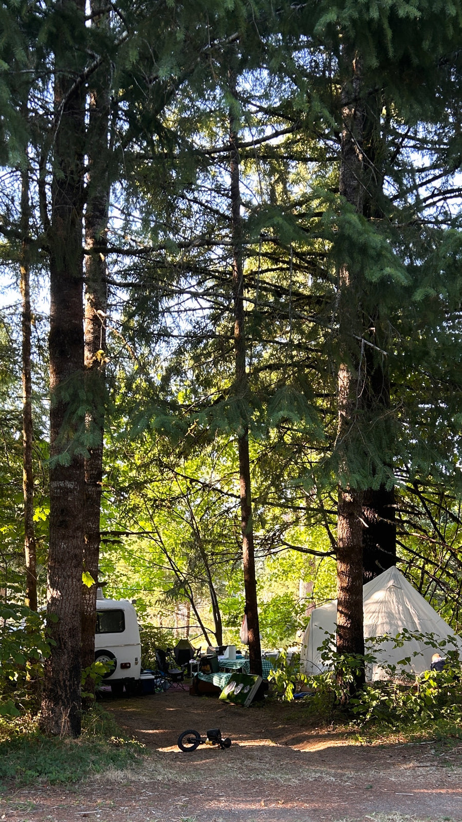 Mushroom Cottage on Wheels