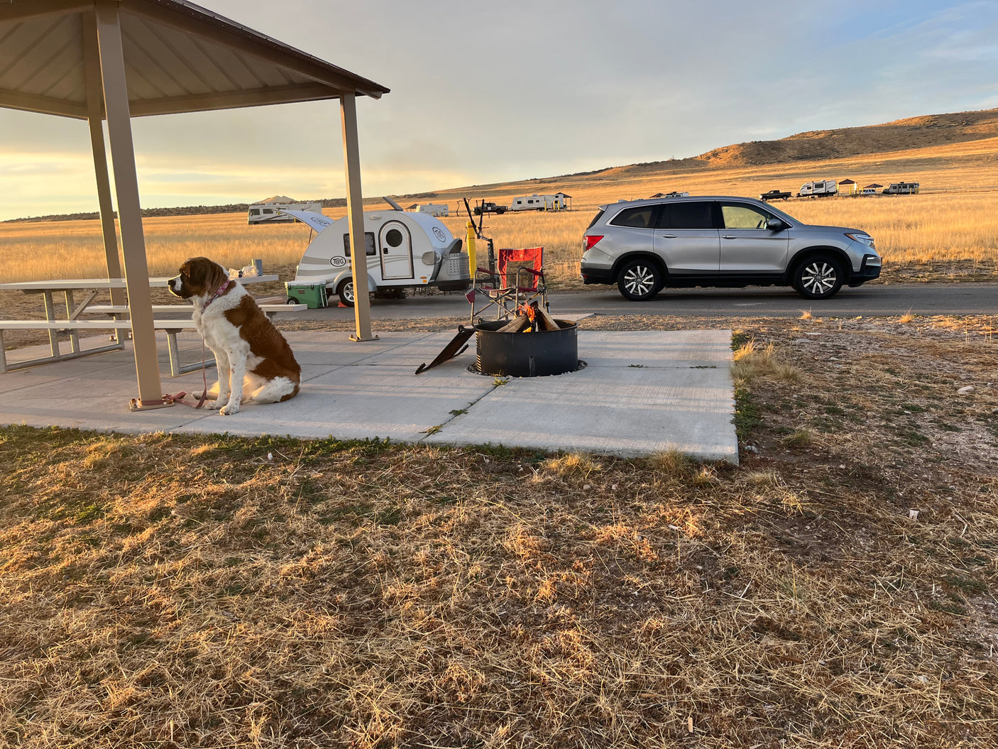 A St. Bernard at a spacious campground with a small RV rental, burning campfire, and silver SUV at dusk.