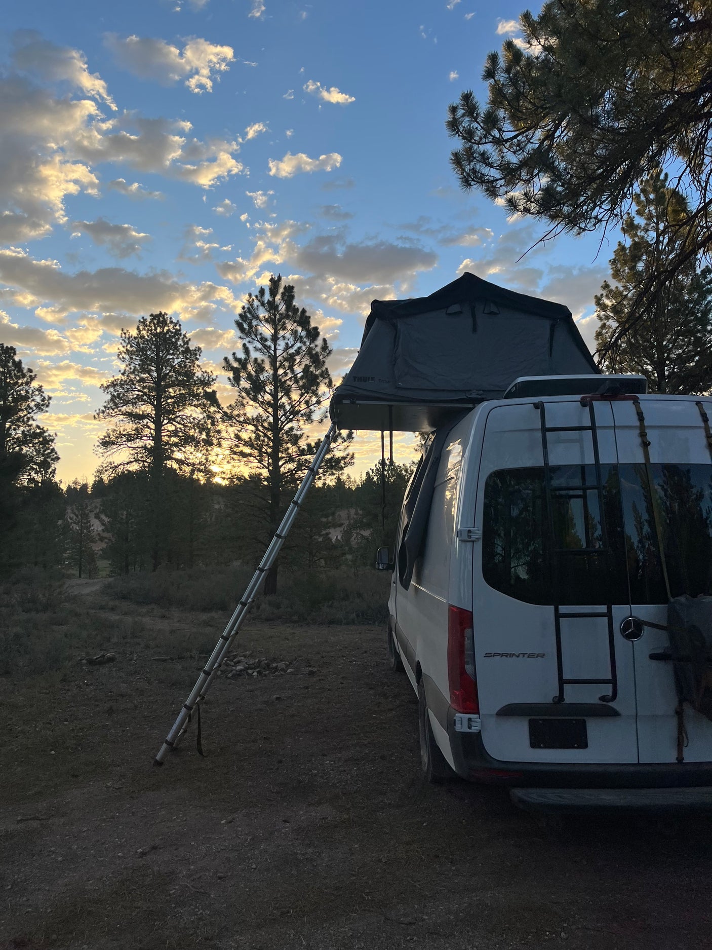 White RV rental Sprinter van with rooftop tent and ladder parked at a scenic, treed campsite under a cloudy sky.