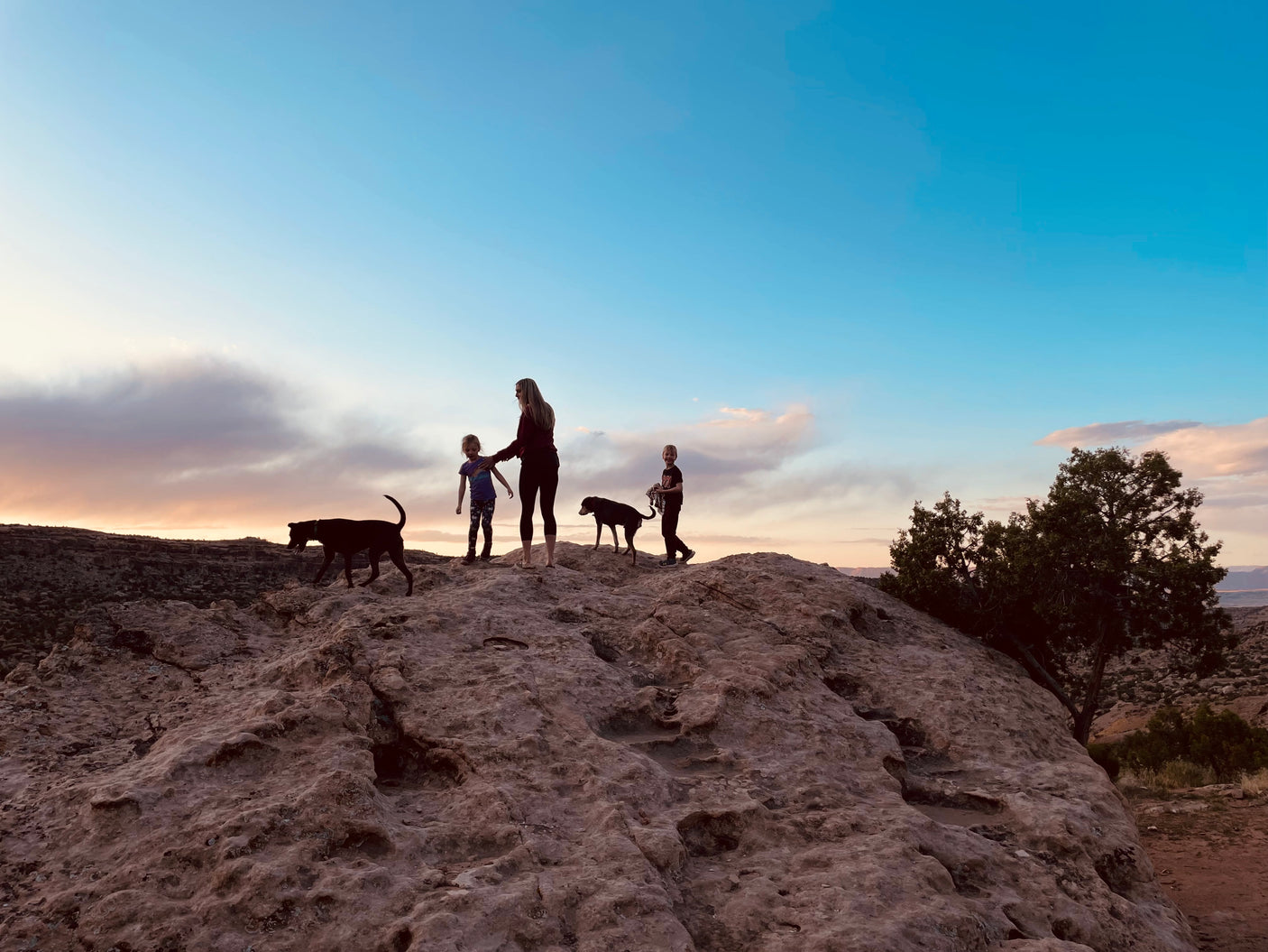 RV rental journey: Family & dogs silhouetted on a rocky desert landscape at sunset, vast sky above.