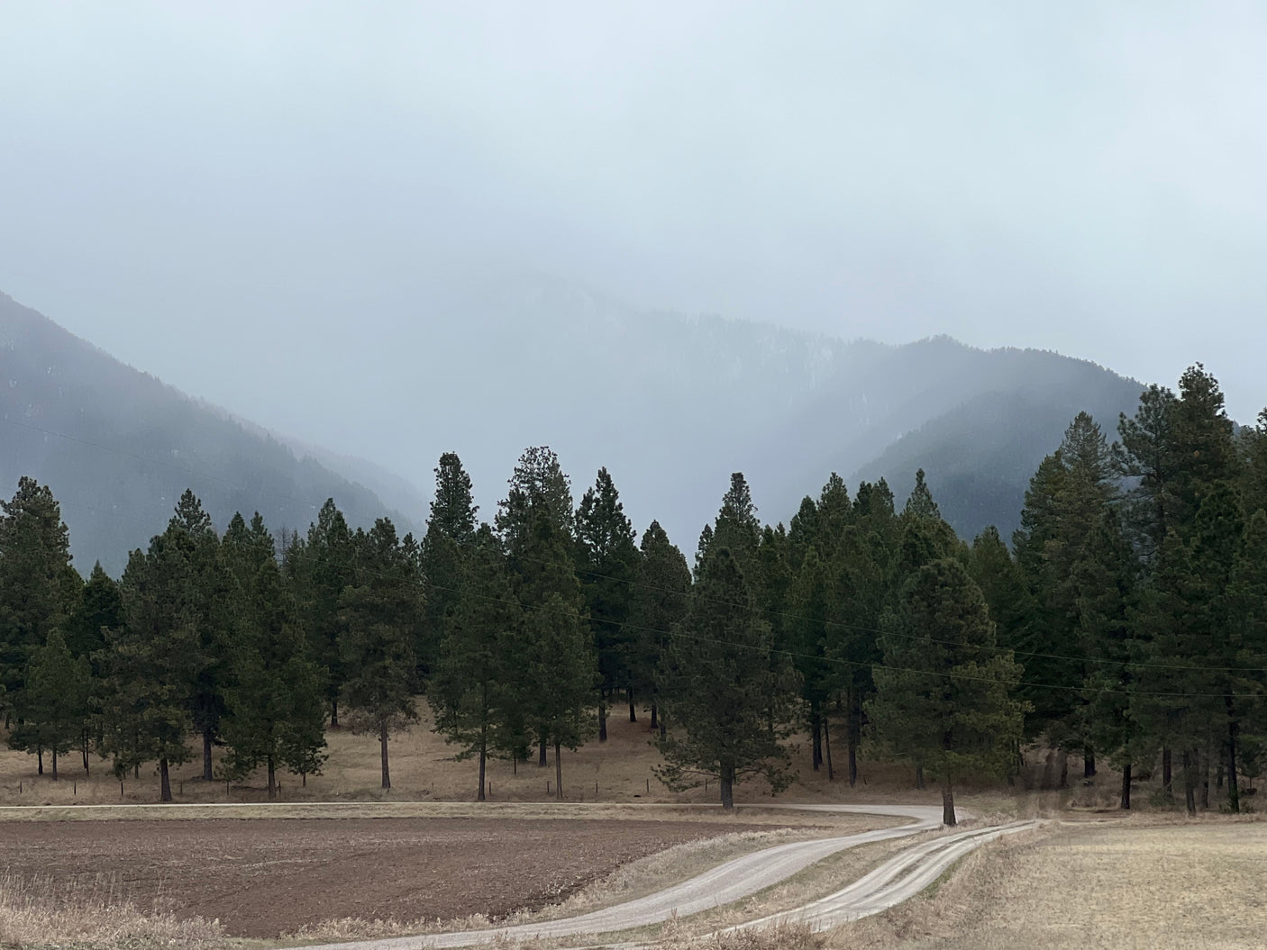 Explore nature's beauty with an RV rental! Misty mountains, tall trees, and a winding dirt road in a quiet valley.