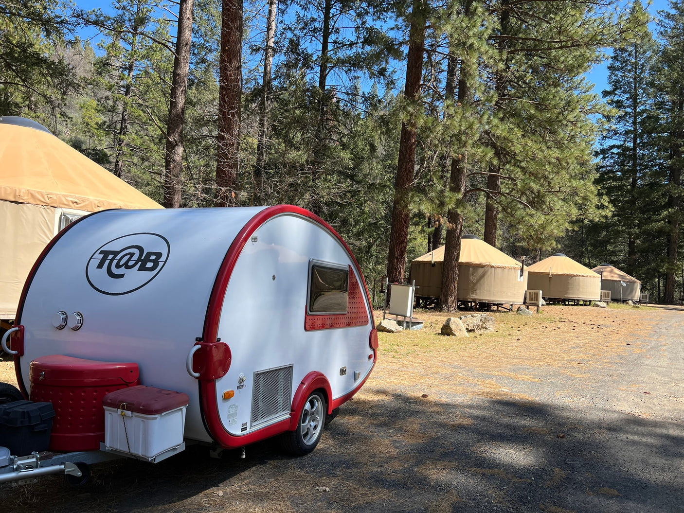 with a serene window view of green trees.|RV rental breakfast: Frying eggs and brewing coffee in a compact galley