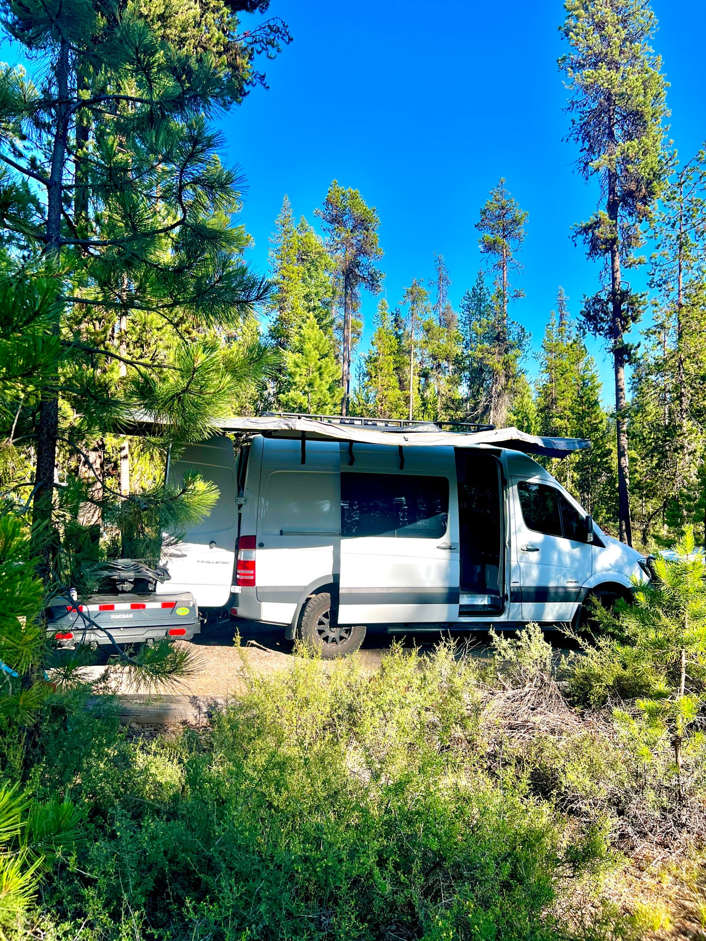 White camper van RV rental parked amidst tall pine trees & green bushes on a sunny day, perfect for a nature getaway!