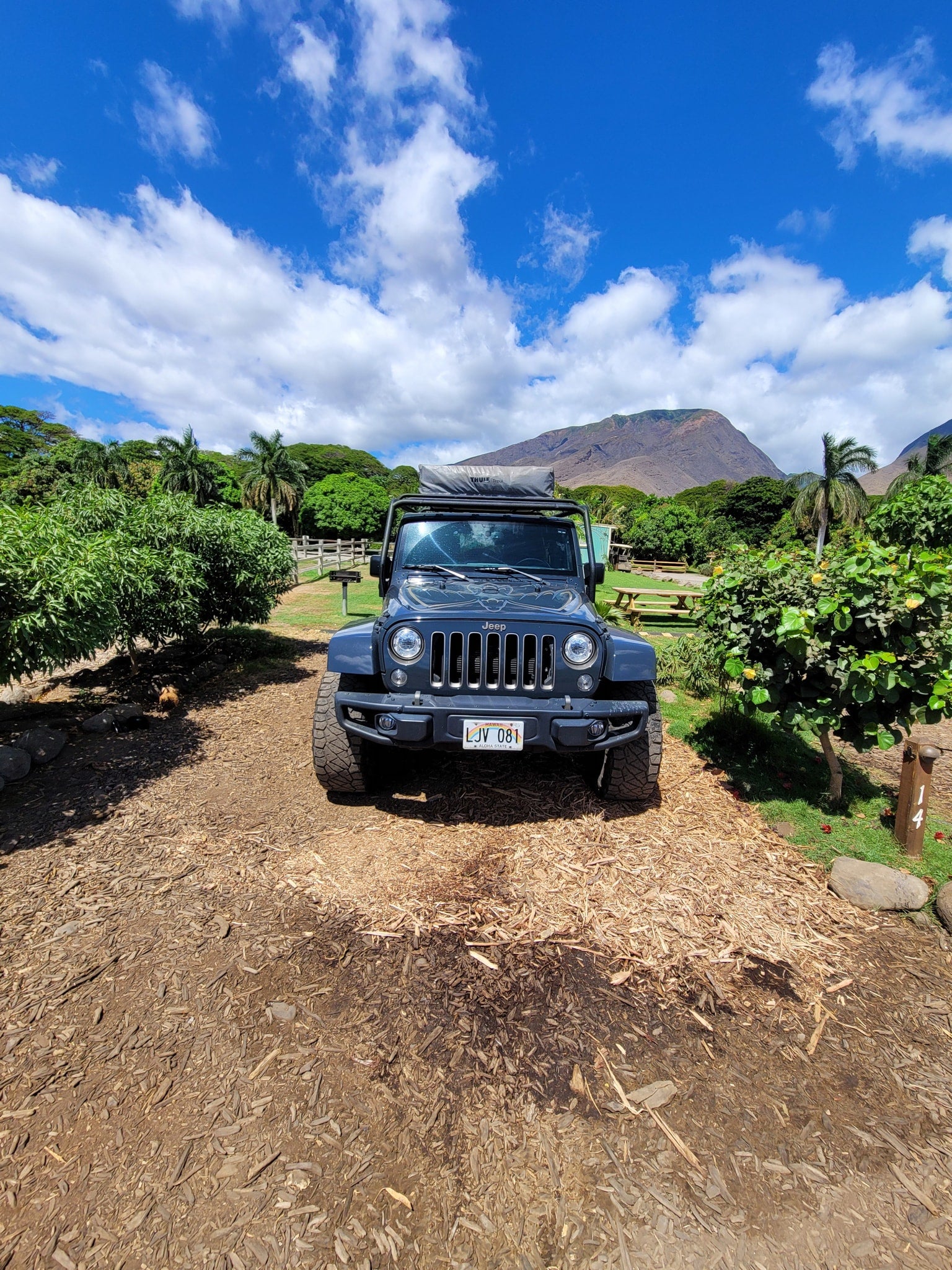 Dark grey Jeep Wrangler with Thule rooftop tent at a scenic campsite (spot 14), ready for an outdoor adventure or RV rental.