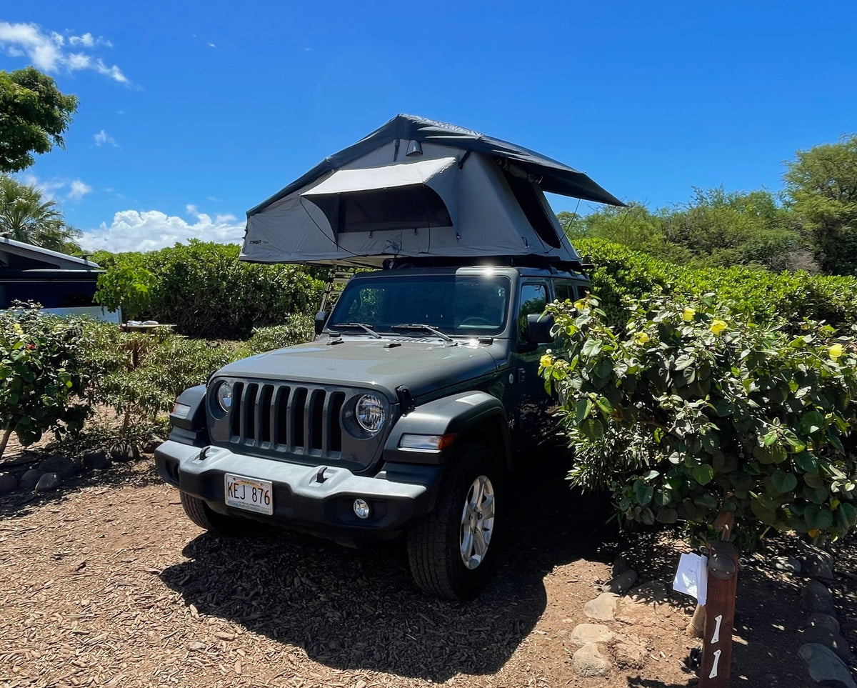 set up under a clear blue sky — photo 4