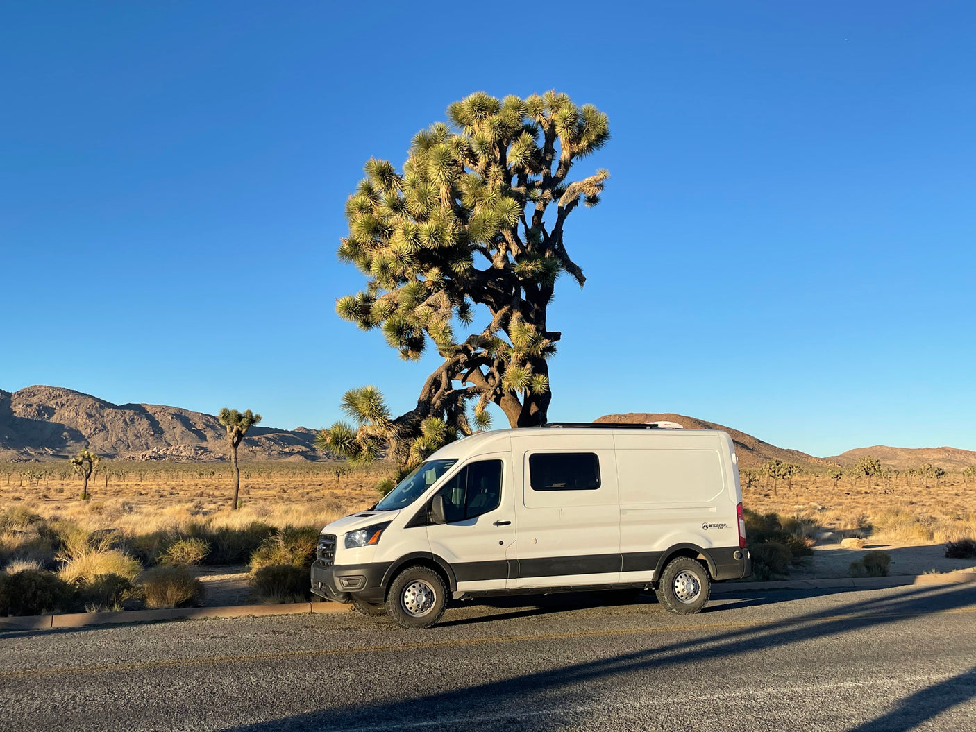 Experience the desert in an RV rental van, parked amidst iconic Joshua Trees under a clear blue sky.