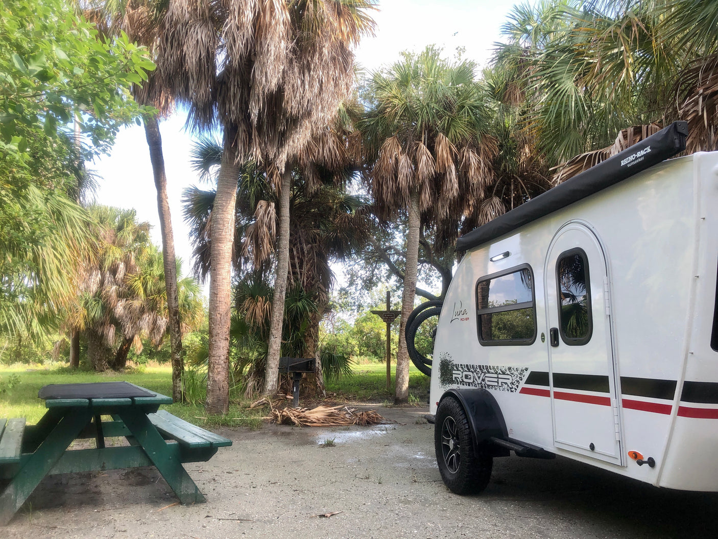 Enjoy nature with this rv rental teardrop trailer parked at a serene campsite, complete with a picnic table & palm trees.