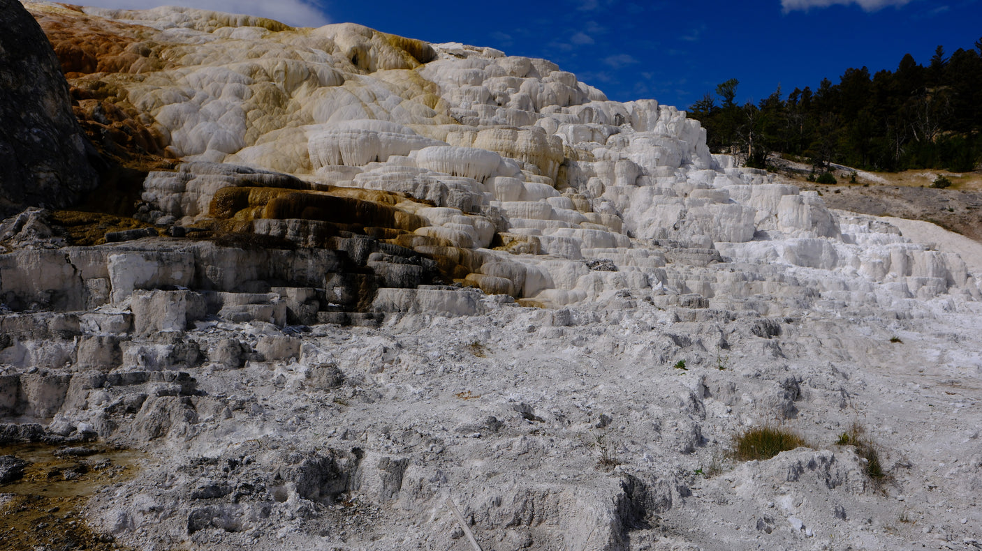Discover Yellowstone's colorful Mammoth Hot Springs on an rv rental trip. White, orange & brown terraced formations under a blue sky.