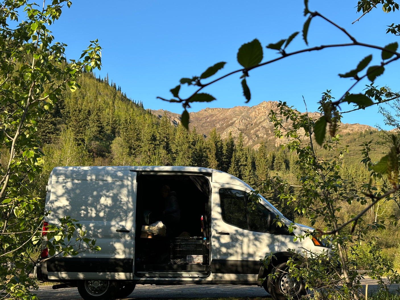 White RV rental van parked roadside in a stunning mountain forest, door open to reveal a person & pet crate inside.