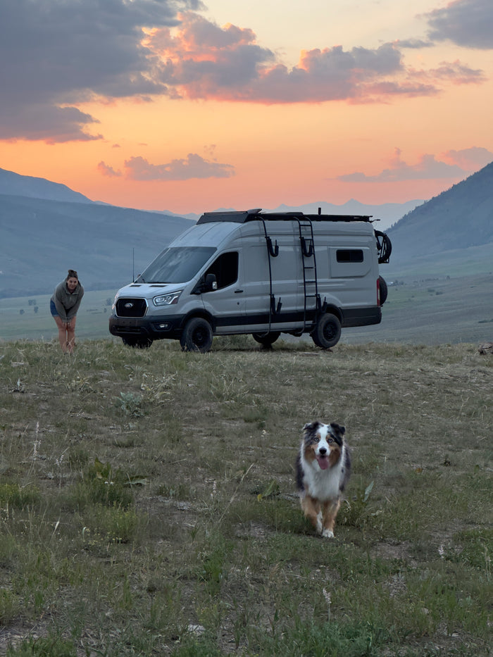 Embrace van life! An RV rental, a woman, and her happy dog at sunset in the mountains. Perfect for outdoor adventures.