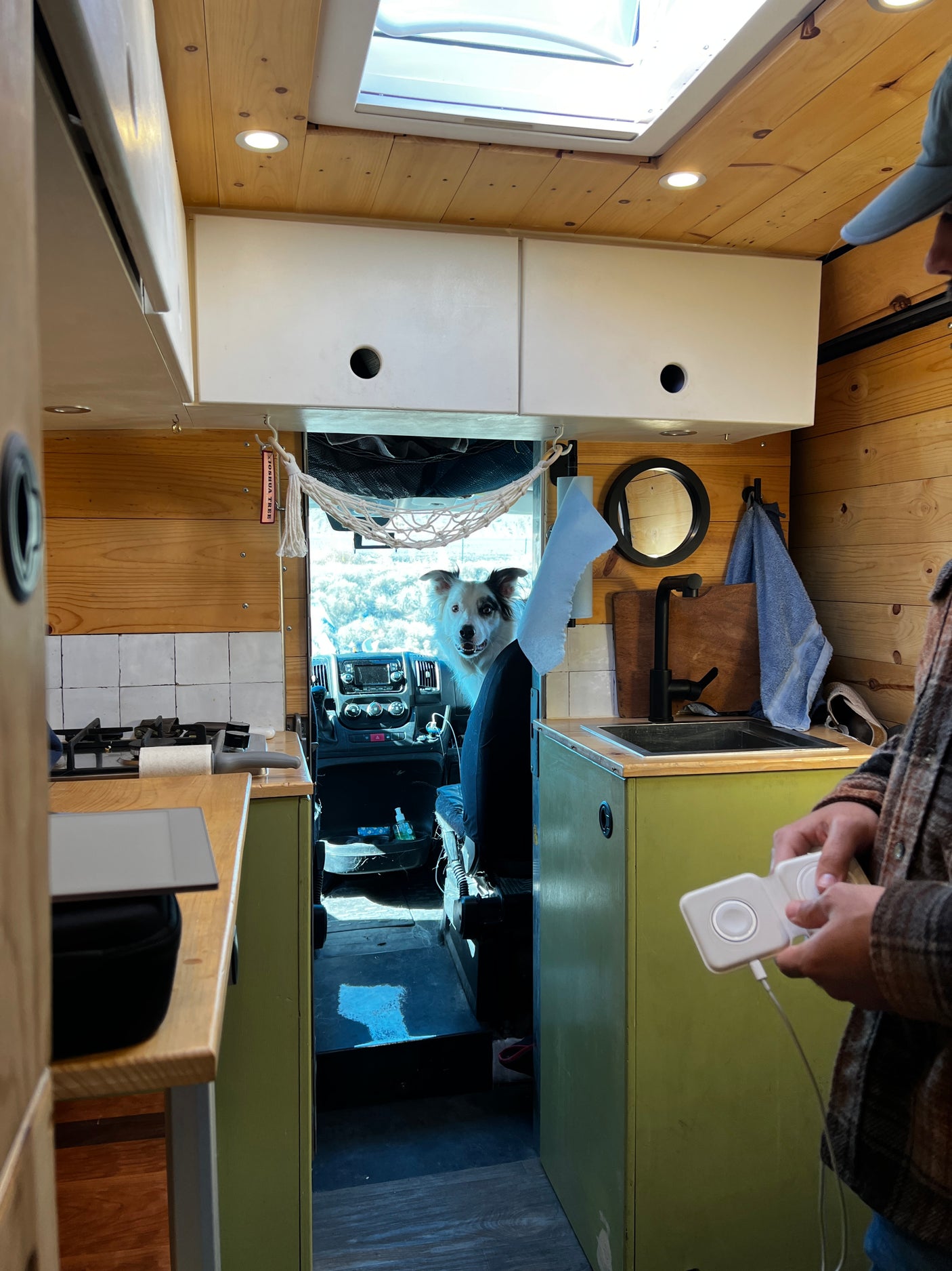 Happy dog inside a cozy RV rental, peeking from the driver's seat towards the custom kitchen setup.