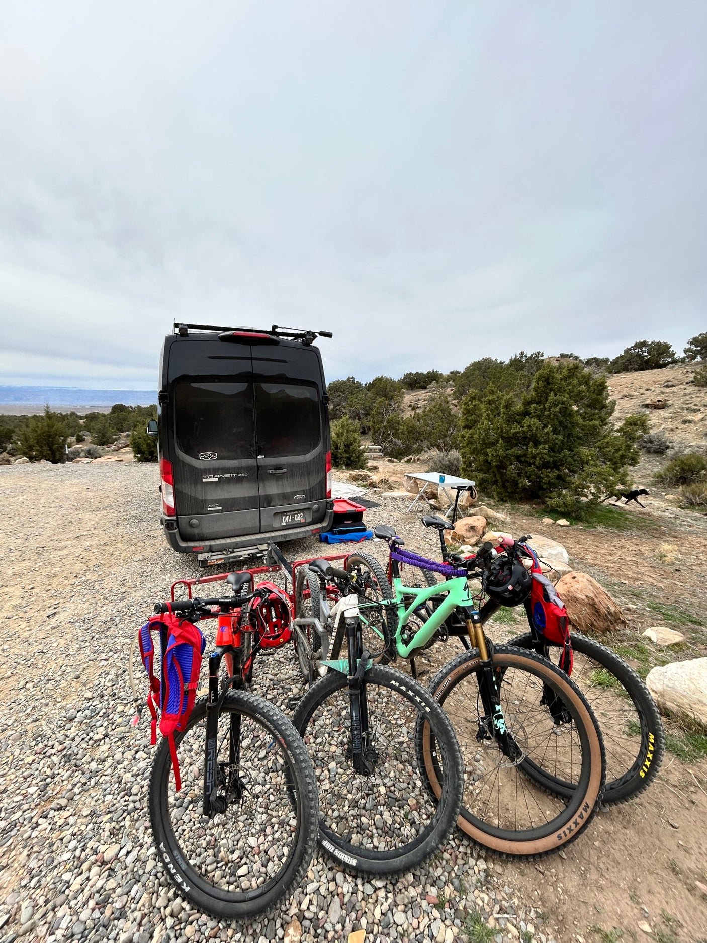 RV rental van and multiple mountain bikes on gravel, set for a van life outdoor adventure. A dog runs nearby.