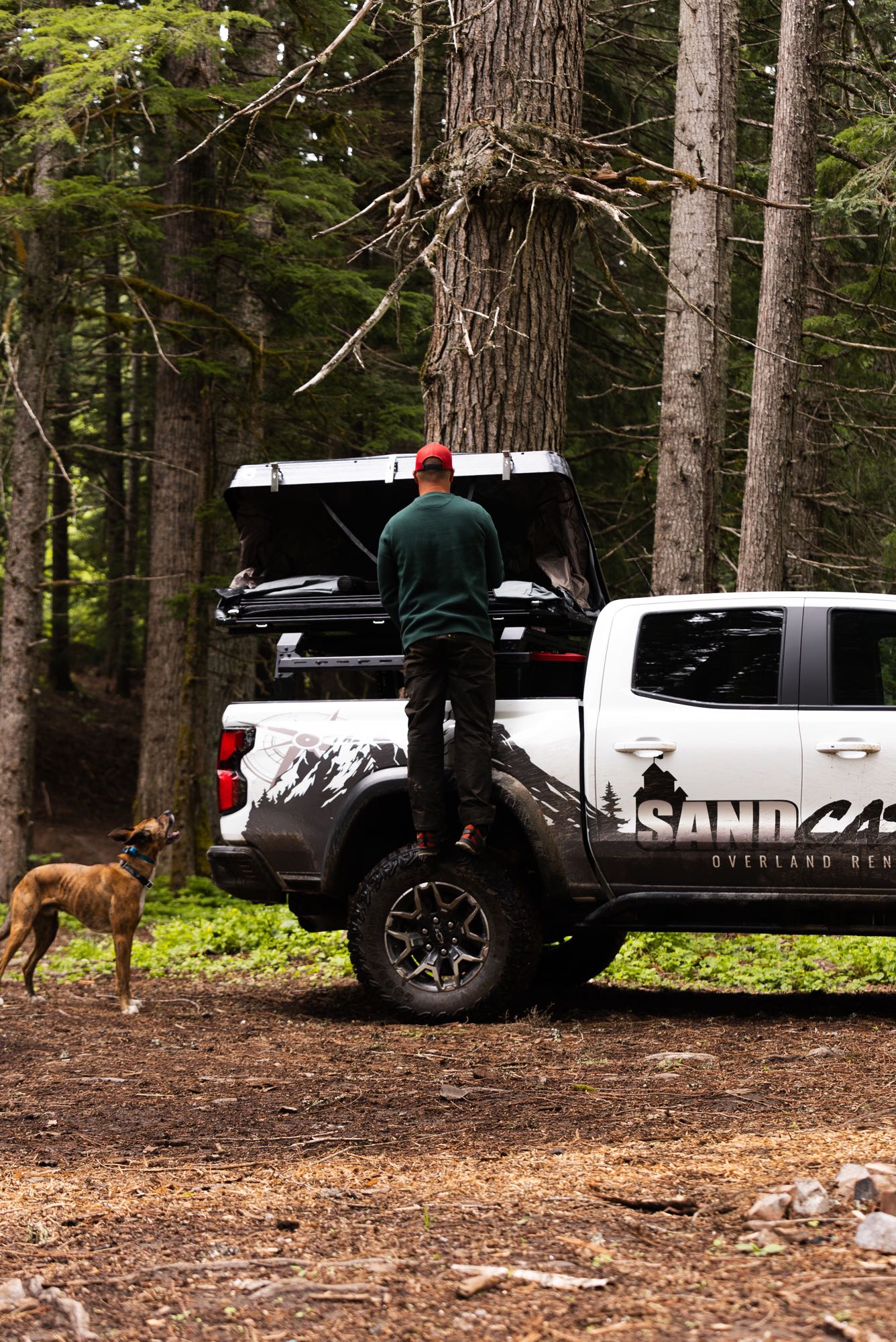 ideal for rv rental adventures & overlanding.|Man opens rooftop tent on an RV rental truck in a forest with a dog. Perfect for overland adventures.|Bushveld rooftop tent setup