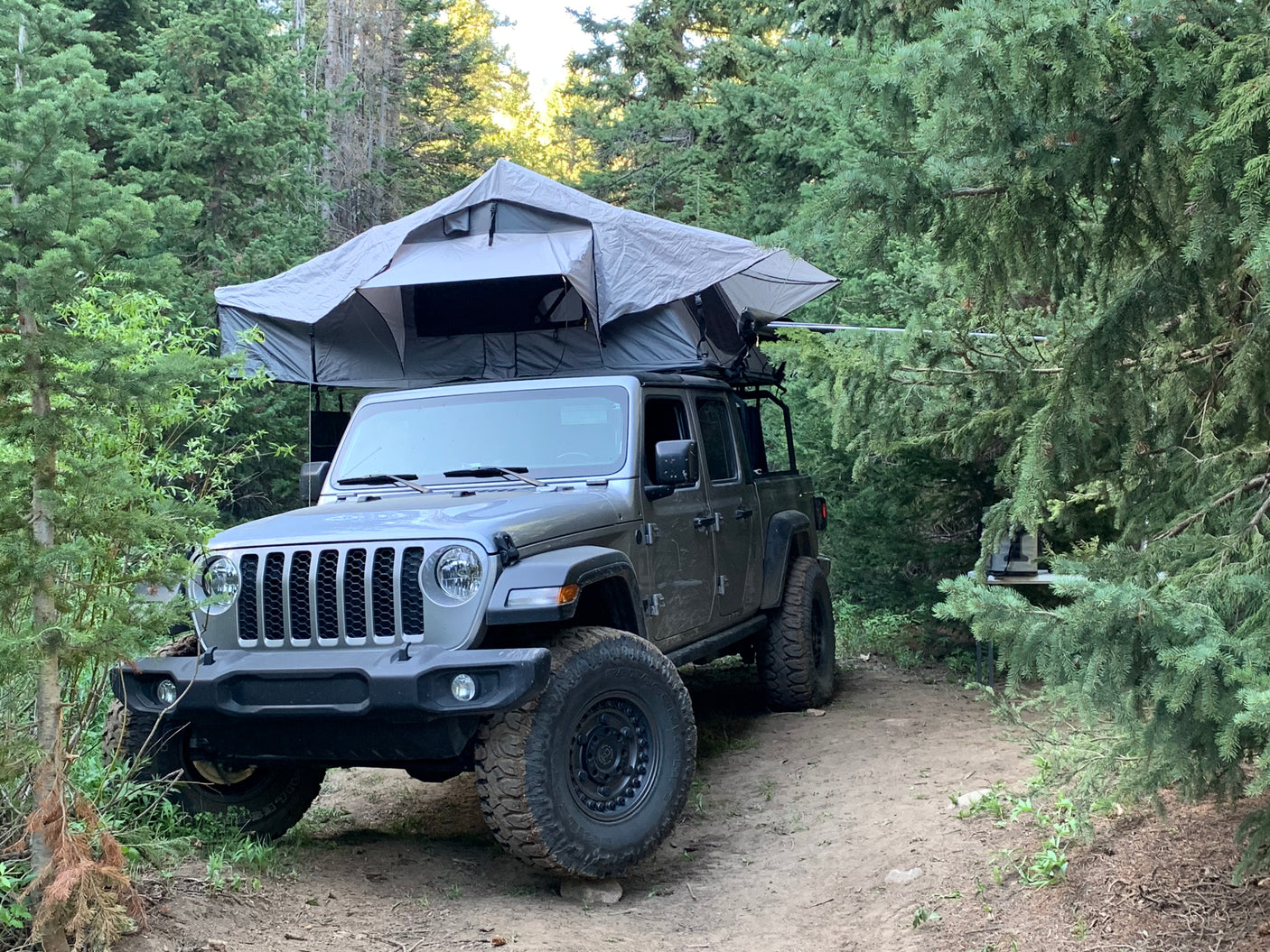 An overlanding Jeep Gladiator with a deployed rooftop tent, an alternative RV rental, parked on a dirt trail amidst a dense forest.