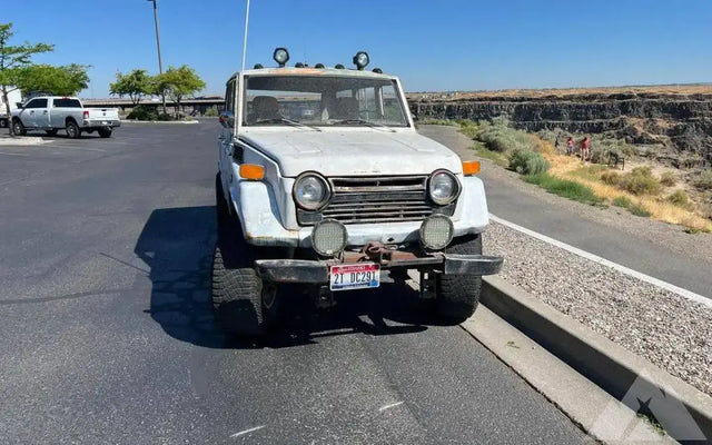 1971 Toyota Land Cruiser — photo 3
