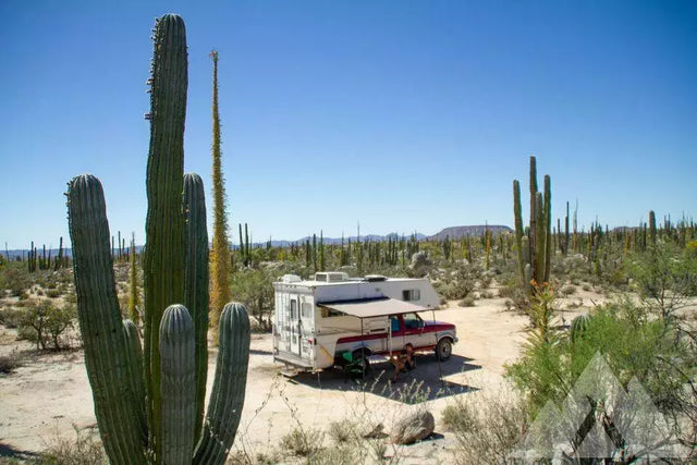 1997 Ford F250 — photo 2