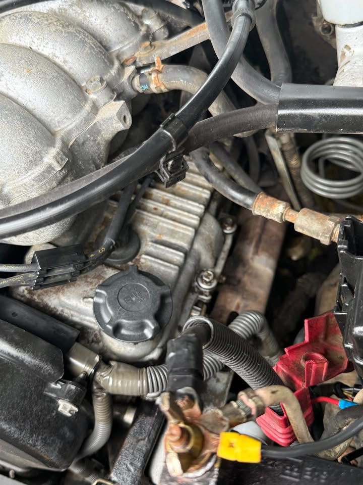 2002 Toyota Tacoma Double Cab · SR5 4x4 3.4 V6 Rear-Diff Locker in Bonney Lake, WA (photo 11) — photo 11