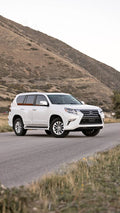 2019 Lexus GX · GX 460
