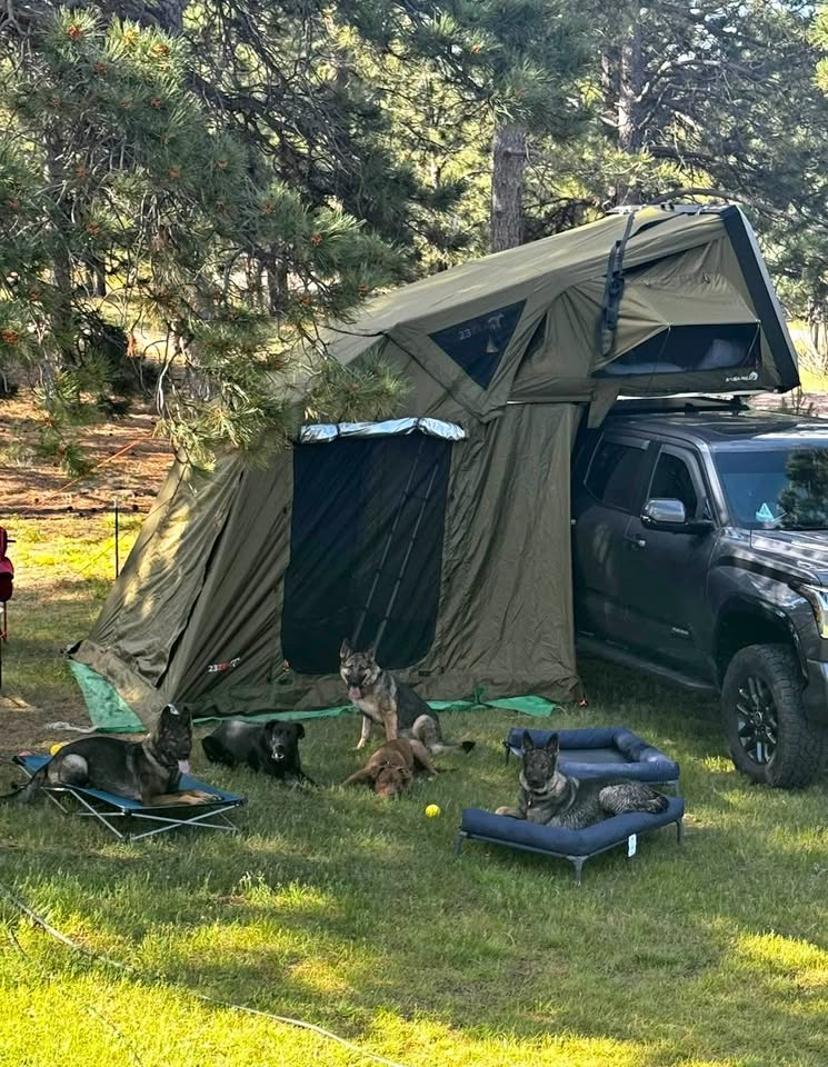 23ZERO Armadillo A2 Aluminum Rooftop Tent + Annex + Floor in Centennial, CO (photo 1)