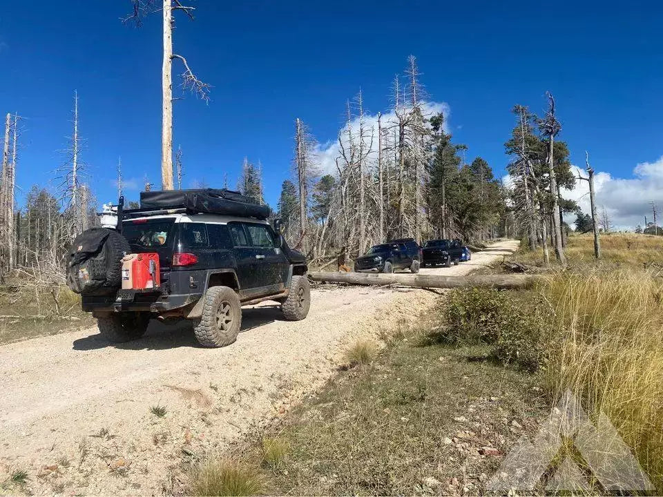 2007 Toyota Fj Cruiser — used overland rig for sale in Phoenix, AZ (photo 2) — photo 2