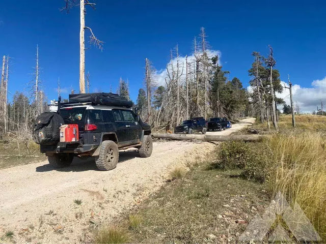 2007 Toyota FJ Cruiser — photo 2