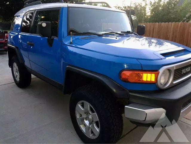 2007 Toyota FJ Cruiser — photo 3