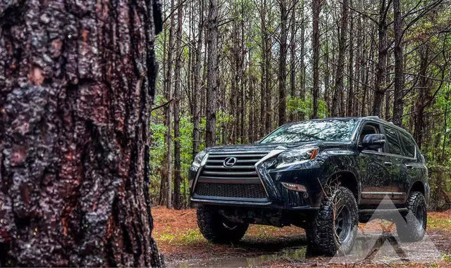 2014 Lexus GX 460 — photo 2