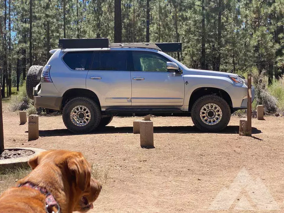 2017 Lexus GX 460 — used overland rig for sale in San Diego, CA (photo 3) — photo 3