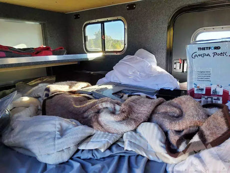 2019 Sherpa 5x8 — used overland trailer for sale in Gillette, WY (photo 4)