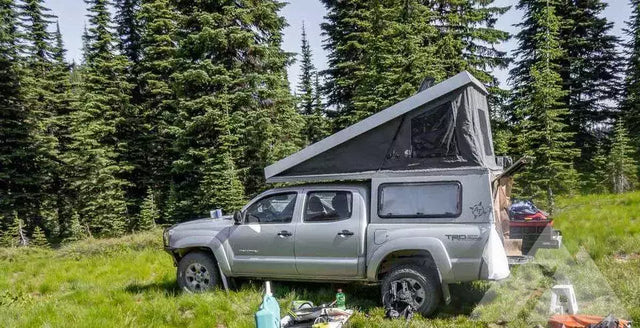 2019 Toyota Tacoma — photo 3