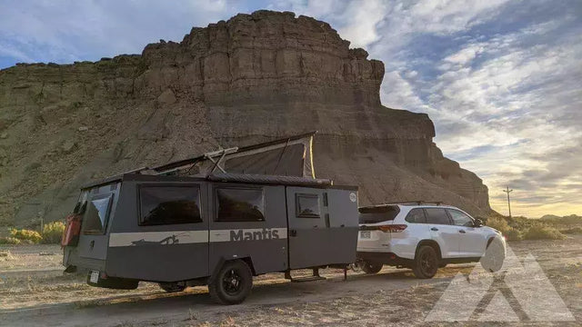 2020 Taxa mantis — photo 2