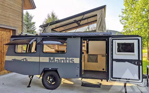 2020 Taxa mantis