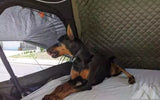 23zero A2 Roof Top Tent — used rooftop tents for sale (photo 5)