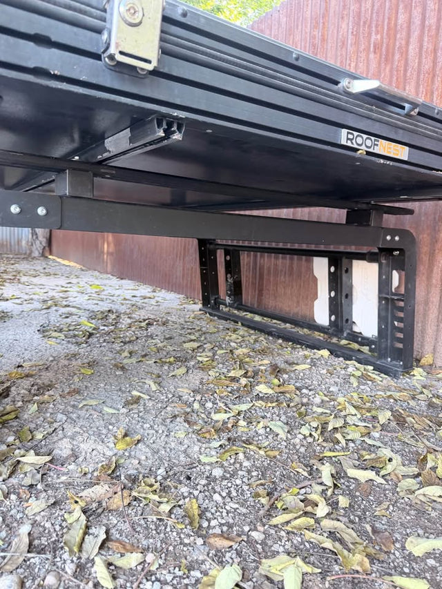 Roofnest falcon — photo 2